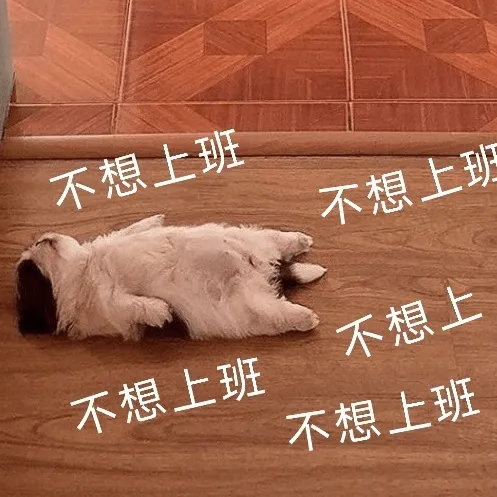 把盏言欢，款款而谈，当WorkPlus接入了ChatGPT机器人